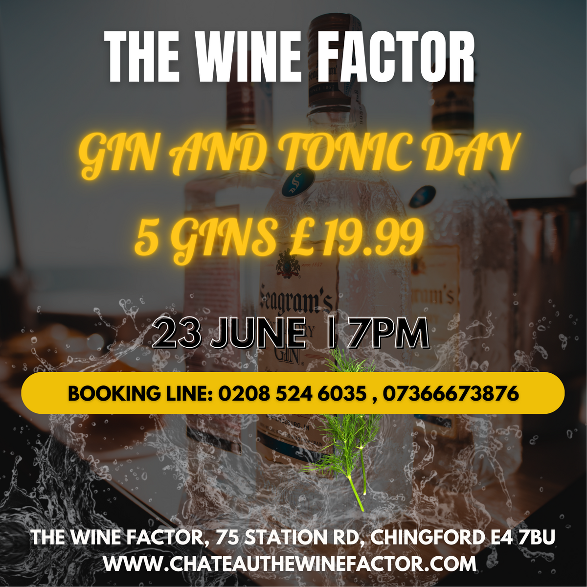 Gin and Tonic Day