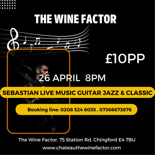 SEBASTIAN LIVE MUSIC GUITAR JAZZ & CLASSIC